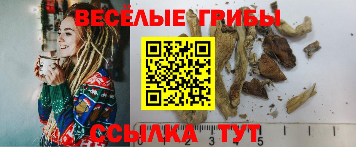 Псилоцибиновые грибы Psilocybe Миасс