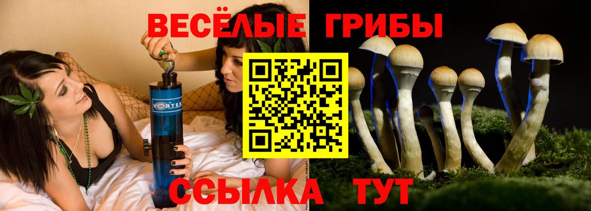 Псилоцибиновые грибы Cubensis  Вход с VPN  Миасс 